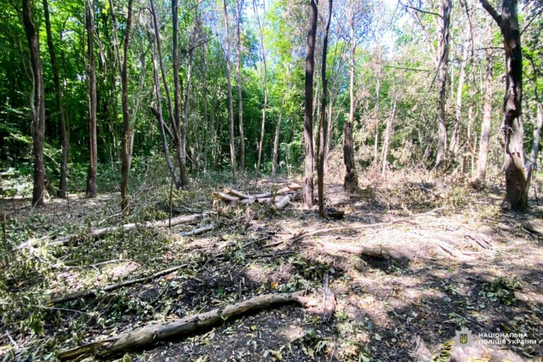 На Рівненщині знешкодили ворожі боєприпаси, виявлені після атаки росії