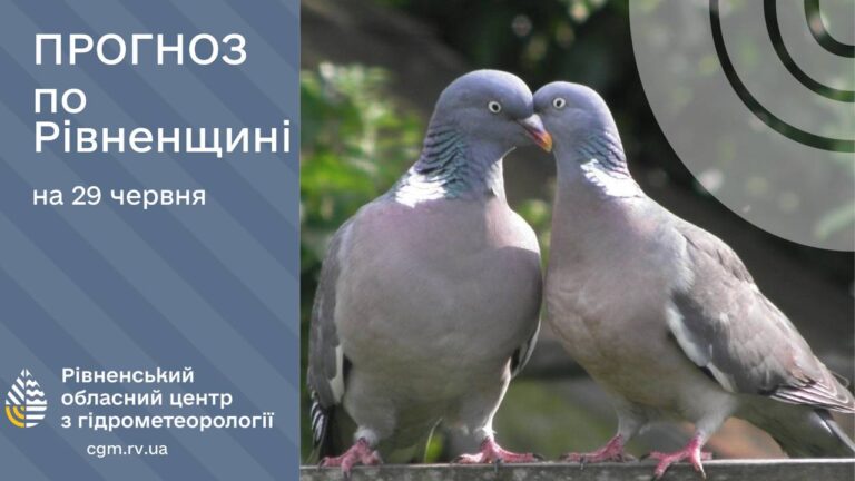 У неділю на Рівненщині очікують до +26