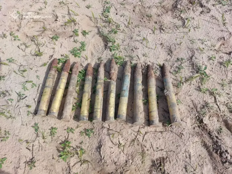 Від початку року на Рівненщині виявили майже 200 боєприпасів